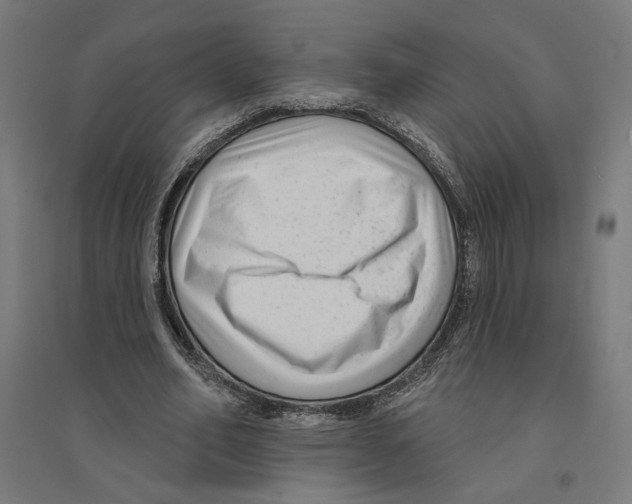 X0000094420582200712061053