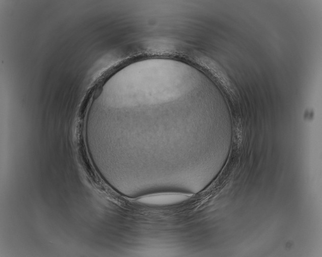 X0000094420583200712061053