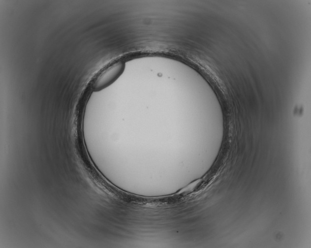 X0000094420584200712061053