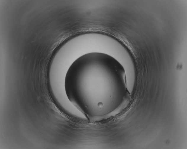 X0000094420585200712061053