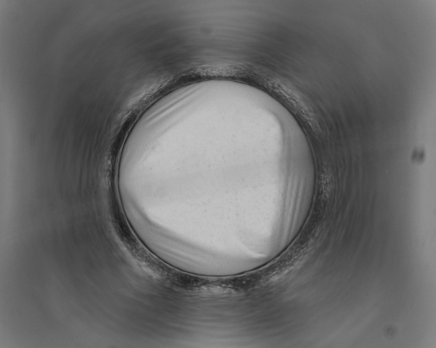 X0000094420586200712061053