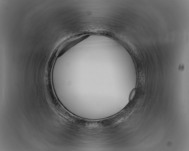 X0000094420587200712061053