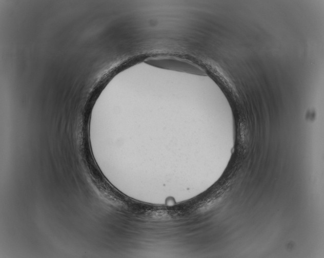 X0000094420588200712061053