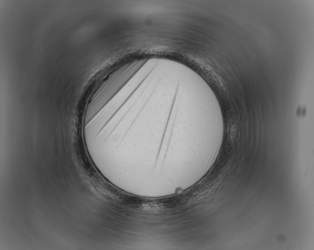 X0000094420591200712061053