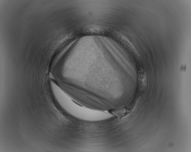 X0000094420593200712061053