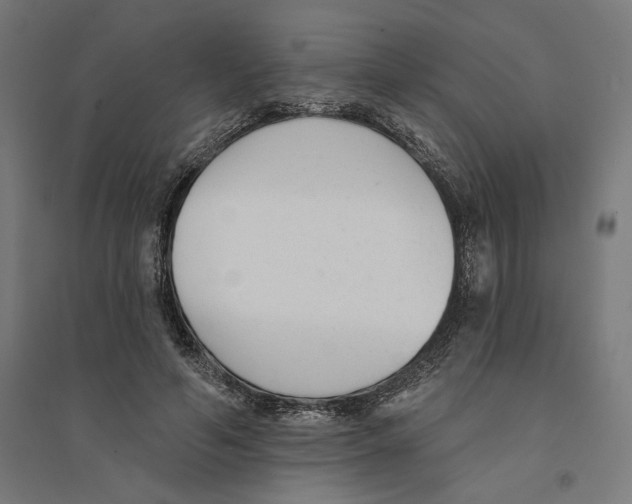 X0000094420594200712061053