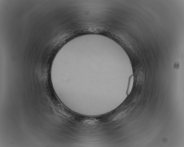 X0000094420595200712061053