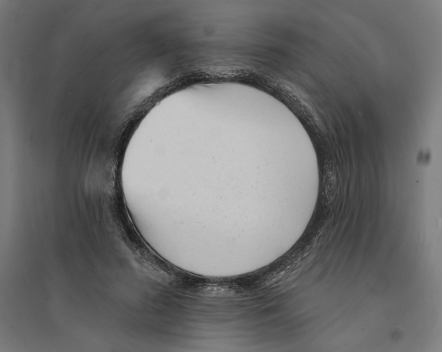 X0000094420596200712061053