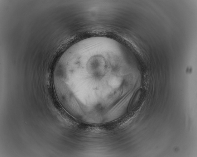 X0000094420597200712061053