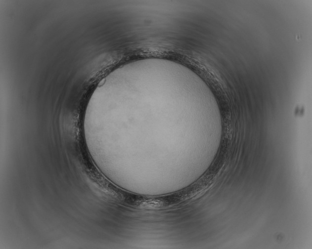 X0000094420599200712061053