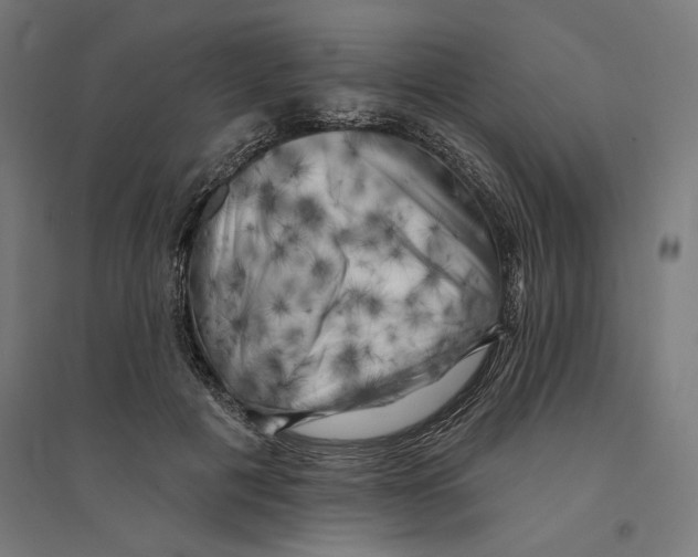 X0000094420601200712061053