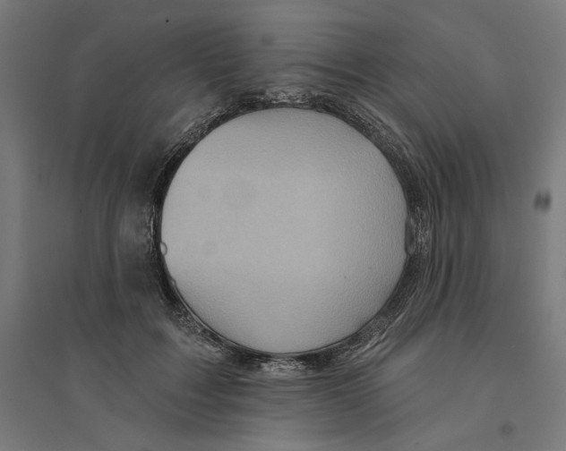 X0000094420603200712061053