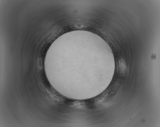 X0000094420606200712061053