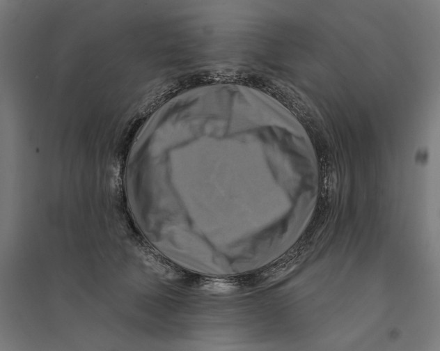 X0000094420610200712061053