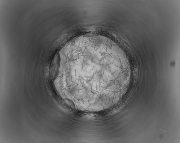 X0000094420611200712061053