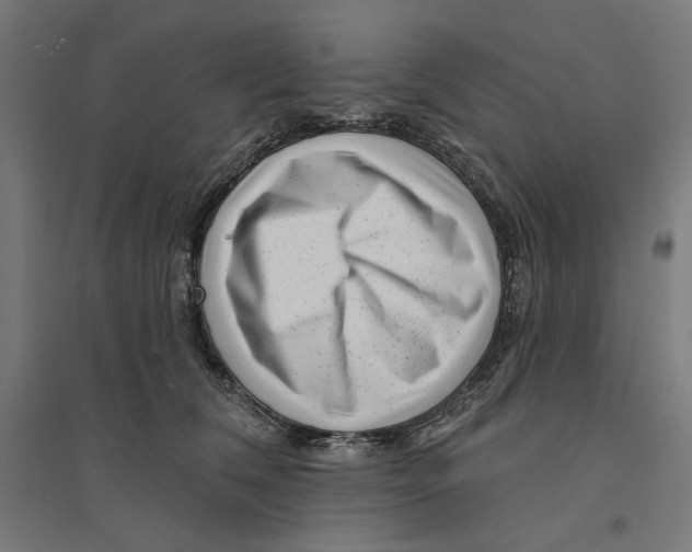 X0000094420612200712061053