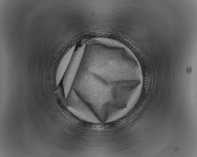 X0000094420613200712061053