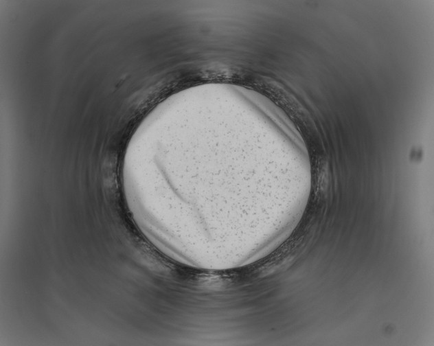 X0000094420616200712061053