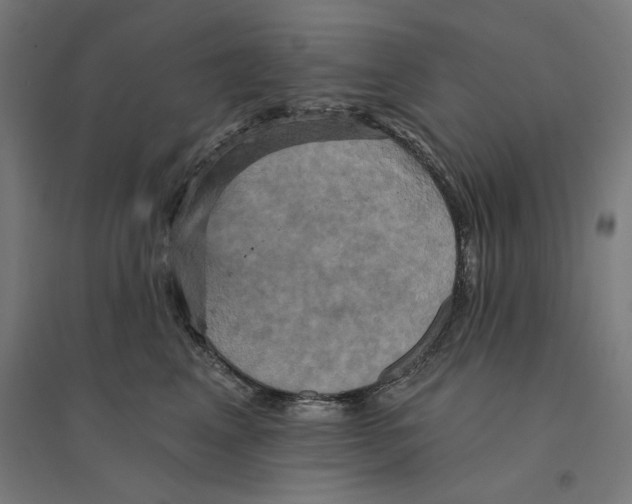 X0000094420617200712061053