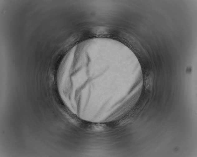 X0000094420618200712061053