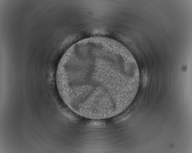 X0000094420619200712061053