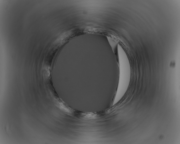 X0000094420621200712061053