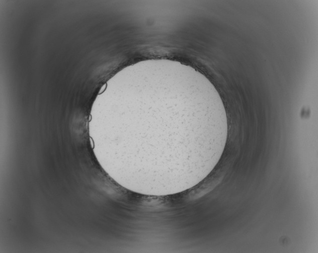 X0000094420624200712061053