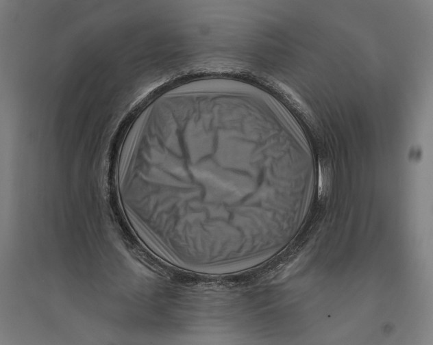 X0000094420627200712061052