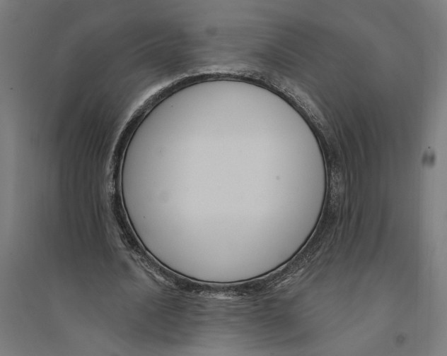 X0000094420628200712061052