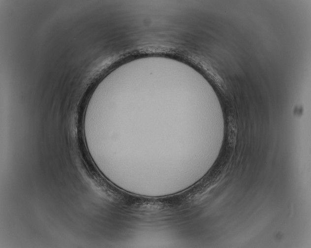 X0000094420631200712061052