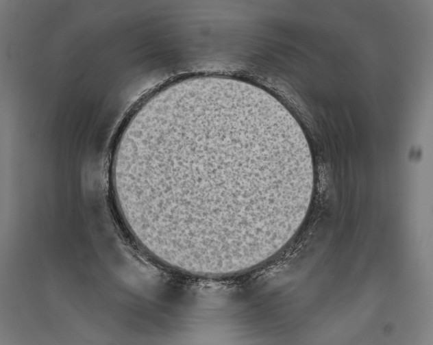 X0000094420632200712061052