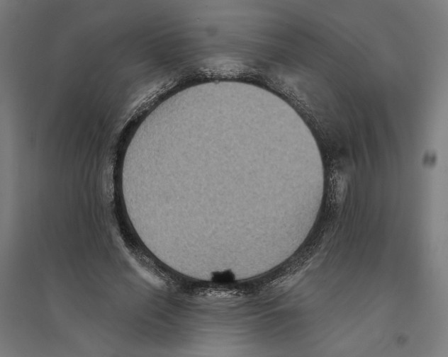 X0000094420638200712061052