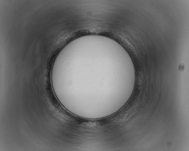 X0000094420639200712061052