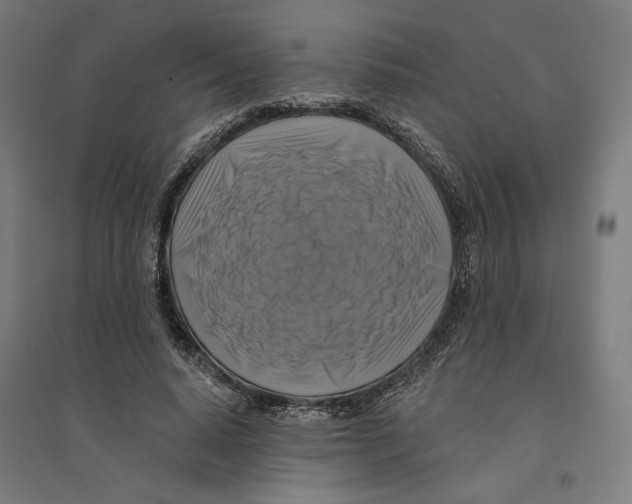 X0000094420640200712061052