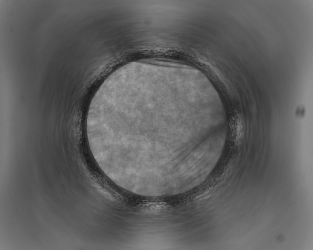 X0000094420642200712061052