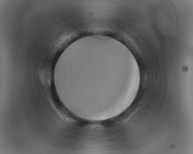 X0000094420644200712061052