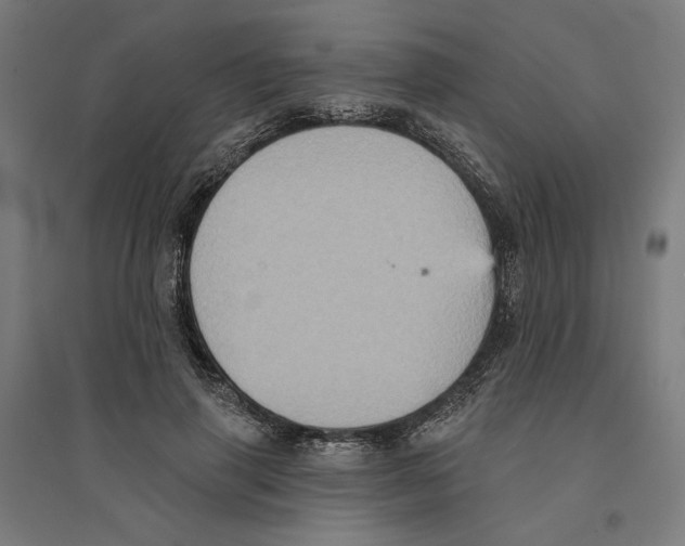 X0000094420645200712061052