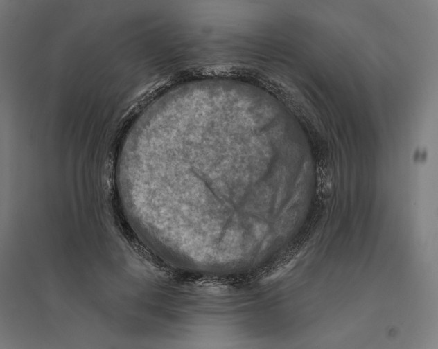 X0000094420648200712061052