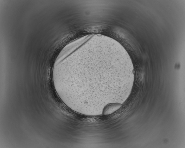 X0000094420652200712061052