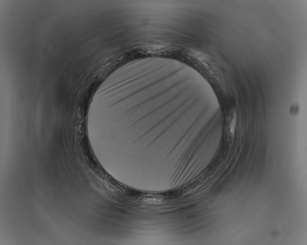 X0000094420653200712061052