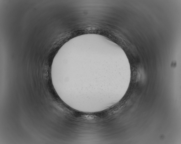 X0000094420654200712061052