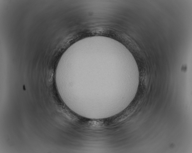 X0000094420660200712061052