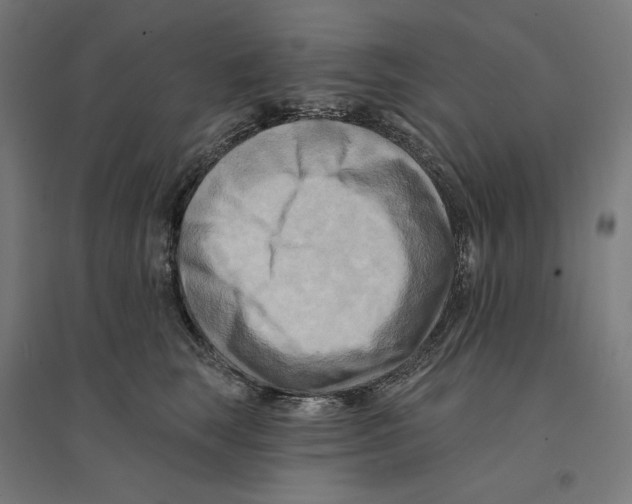 X0000094420663200712061052