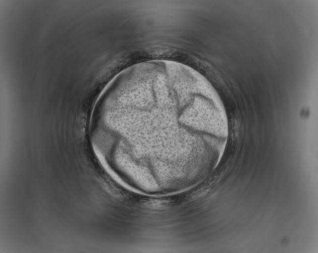 X0000094420664200712061052