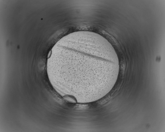 X0000094420665200712061052