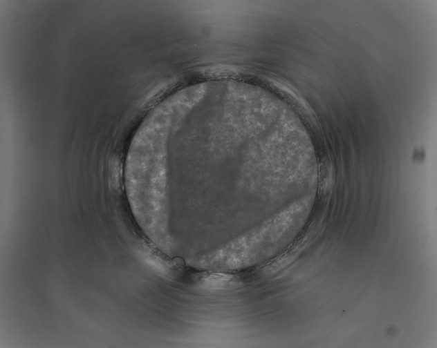 X0000094420669200712061052