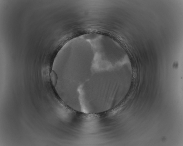 X0000094420670200712061052