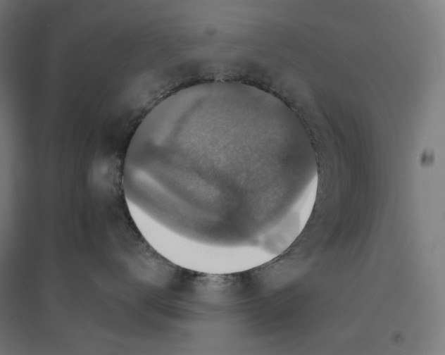 X0000094420672200712061053