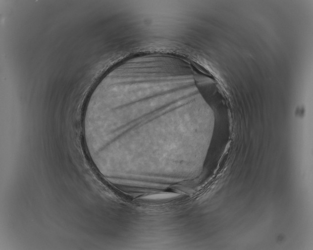 X0000094420673200712061052