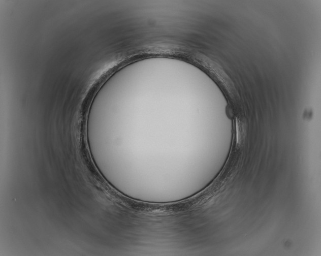 X0000094420675200712061052